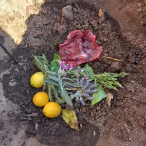 Ceremonia de Siembra + parches + impresión de Placenta