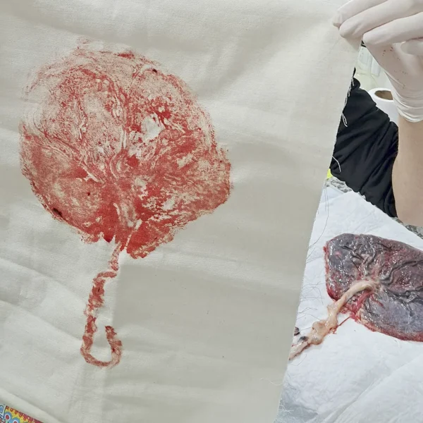 Ceremonia de Siembra + parches + impresión de Placenta - Image 3